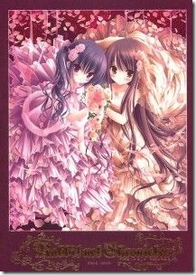 Rabbit-net-Chronicles-213x300