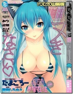 Sanzokuban-2014-12-232x300