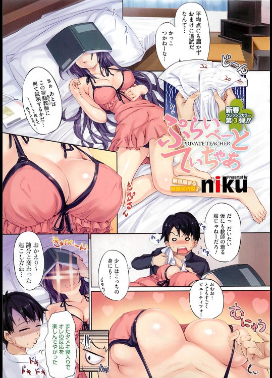 ぷらいべーとてぃちゃあ_6