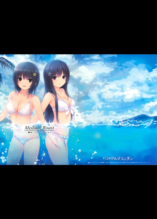 (C82) [ロイヤルマウンテン (珈琲貴族)] Medium Roast (オリジナル)