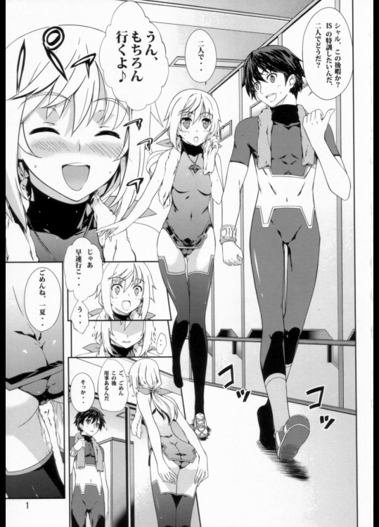 [羊小屋(橘由宇)] クラリッサさんの同人誌 (IS＜インフィニット・ストラトス＞) - コピー