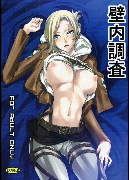 (C90) [DEX+ (中寺明良)] 壁内調査 (進撃の巨人)