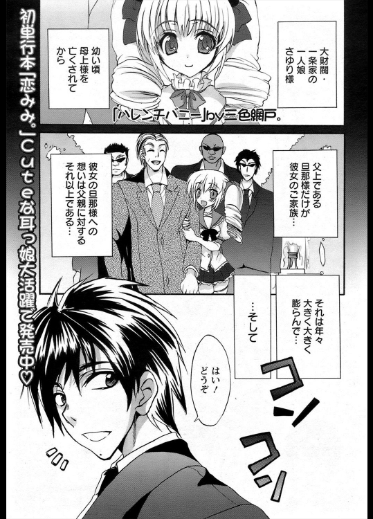 [三色網戸。] ハレンチバニー