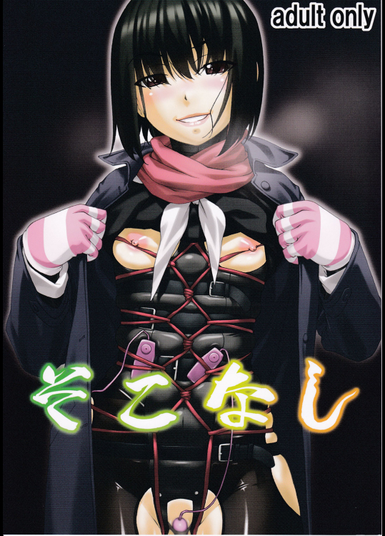 (C91) [大陸間弾道弾団 (桜ロマ子)] そこなし