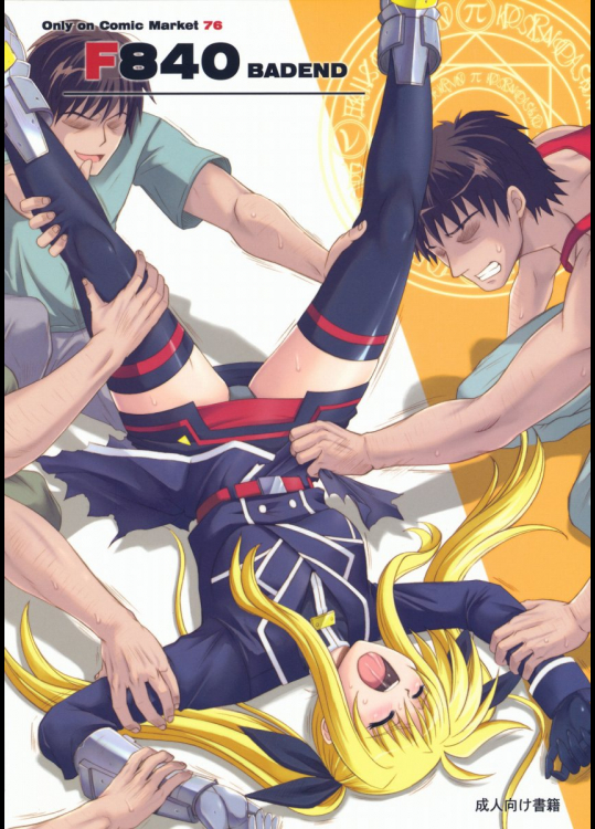 SCHAFT SECURITY SYSTEM