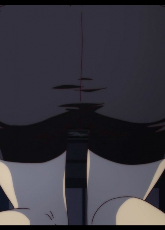 【100枚】花物語キャプチャー集その6