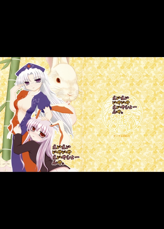 (東方) (同人誌) [猫風呂] えいえいいやいやえいやしょーんや。 (紅楼夢5) (非エロ)