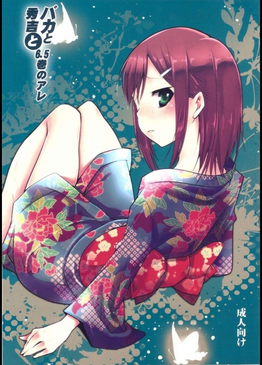 バカと秀吉と6.5巻のアレ          