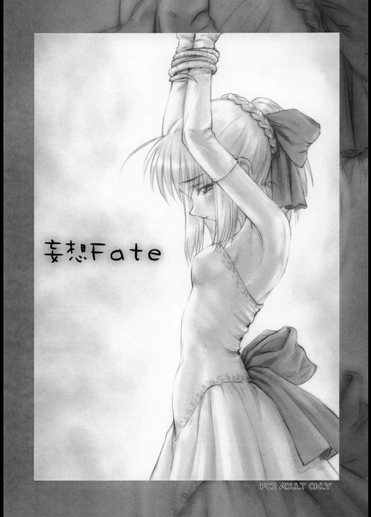 妄想Fate          