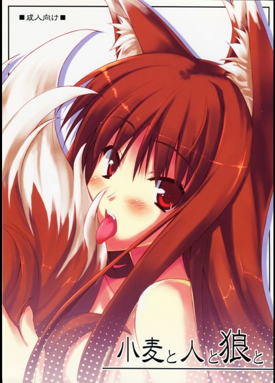 (サンクリ38) [小糸創作所 (ひなた睦月)] 小麦と人と狼と (狼と香辛料)