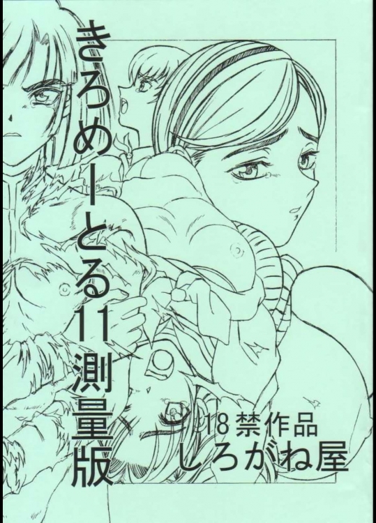 きろめーとる11測量版          