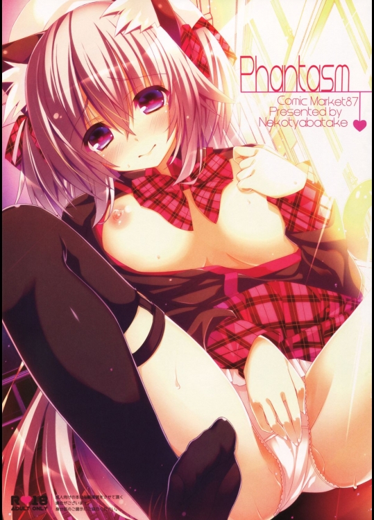 (C87) [猫茶畑 (おーじ茶)] Phantasm