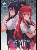 [紙上岬(佐藤想次)] ハイスクール性春白書H+H (ハイスクールD×D)