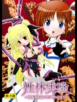 性体実験～引き裂かれたバリアジャケット～