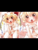 [MeltdoWN COmet (雪雨こん)] 人間のくせになまいきだ。 (東方)