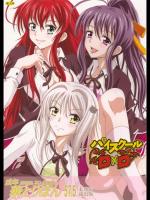 [STUDIO 華とりぼん]成年華とりぼん57.5 パイスクールD×D (ハイスクールD×D)