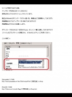 ［月野定規］ Lv69