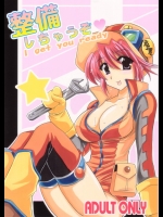 [りーず工房 (王者之風)] 整備しちゃうぞ