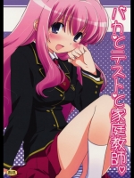 バカとテストと家庭教師_2