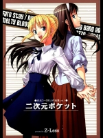 二次元ポケット          