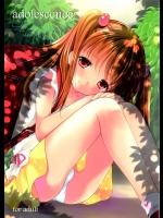 かくれんぼで同じ場所に隠れた三沢ちゃんと水谷くん。ねえ知ってる？男の子は女の子のHな姿をみるとチンポが立つんだって【オリジナル　同人誌・エロ漫画】