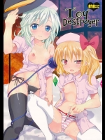 辻街道『Toy Destroyer』。古明地こいし、フランドール・スカーレットが看護婦役で患者をエッチな治療します!【東方Project 同人誌・エロ漫画】
