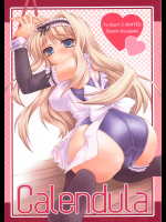 [夜間飛行]calendula