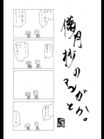 儚月抄のマンガとか。          