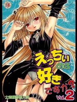 [スタジオ・ワラビー (士崎雅雪)] えっちぃのは好きですか？2 (ToLOVEる)