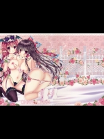 [せとらん] CHAN CHAN