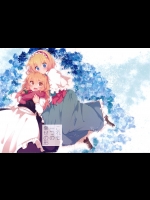 (同人誌) (C87) [矢ハイ(あおい)]これも一つの幸せの形 (東方Project)