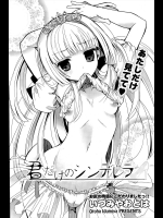 [いづみやおとは] 君だけのシンデレラ