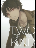 [ヒュンメル (シア)] TWO OF A KIND(進撃の巨人)