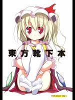 東方靴下本          